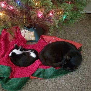 Meet your Posher, Savannah